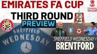 Sheffield Wednesday v Bees FA Cup 3rd Round Wednesday In Trouble But The Cup So Not Straightforward