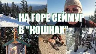 ПО СНЕГУ НА ГОРЕ СЕЙМУР В КОШКАХ