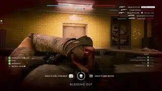 cykka assault 1/2