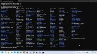 Konfigurasi DNS Server Ubuntu dan Windows