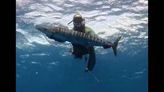 Spearing a Wahoo from a Jet Ski&hellip; Then a Hammerhead Shows Up
