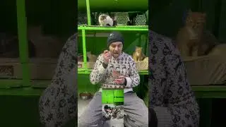 Закупка