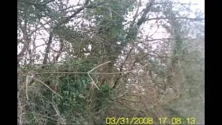 Greenlane Adventures #1
