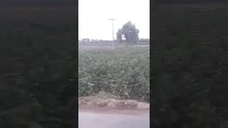 best train video# short