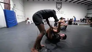 Michael Torres x Jiu Jitsu Rolls 🥋 | #141