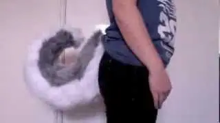 Foam Base Husky Tail Demo