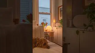 A spring refresh for a sound space | Sonos Era 300