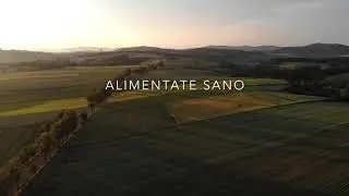Come productos de KM0