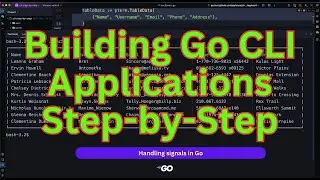 Building Golang CLI Applications: From 0 to 1000 Stars (2)