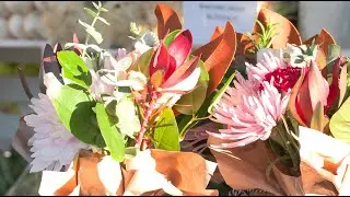 Small Business Saturday at the Gilbert Farmer's Market