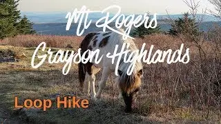 Mount Rogers/Grayson Highlands Loop Hike