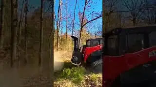 Calming Lawn Maintenance with Smooth and Clean Cuts
