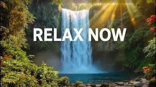 LIVE 24/7 🌙 Night Music for Sleep | Relaxing Piano with Tranquil Water Sounds