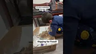 Digging For Fossils and Gems #soproud  #activity #fyp #gems #gemstone #fossil