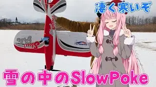 雪の中のSlowPoke　ラジコン飛行機