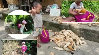 Highland kid carrying corn with parents - Tieu Hoa 