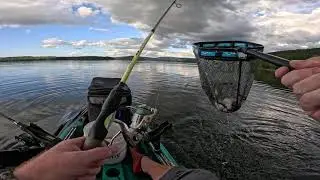 Drop Shotting Threadfins For Bass