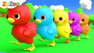5 Little Ducks(Learn Colors Song) | ZuZoo Nursery Rhymes & Kids Songs