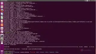 How to install SRware iron browser in Ubuntu