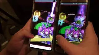 Master Jupiter: Dual Wielding Gala Cleo - Dragalia Lost