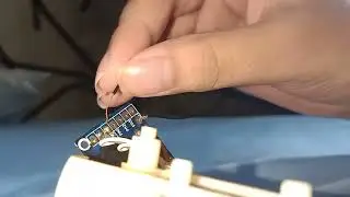 Hidden Cat Audio from my Sound N Light Animated Husky