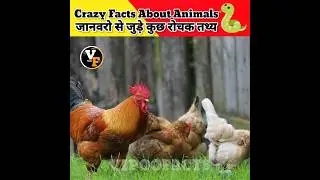 Amazing Facts About Animals 🐍 || Vipoo Facts #shorts @MRINDIANHACKER @CrazyXYZ