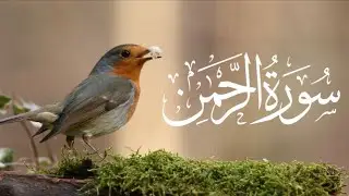 Surah Rahman Full | سورۃُ الرحمٰن مکمل تلاوت Beautiful & Peaceful Tilawat | Abdul Basit | Mishary