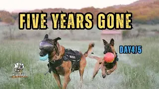 1% of Dogs Do This When Instinct Takes Over | Paw Bond Adventures&rdquo;