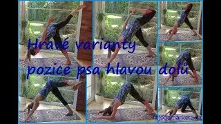 Hravé varianty pozice psa hlavou dolů