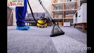 Plastering Services in Springwood | Plastering Services Springwood | Springwood Plastering Services