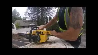 WEDGING A LEANING PINE TREE