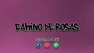CAMINO DE ROSAS - ALEJANDRO SANZ - DJ QUINTEROS MIX