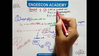 Lecture #10|| Transport of CO2|| Respiration Chapter|| Engeecon Academy Biology Lectures 