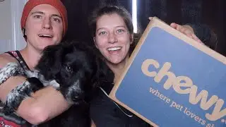 Black Friday 2020 Chewy Haul! | Ohcluck