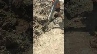 спец по хоботу алексей николайч