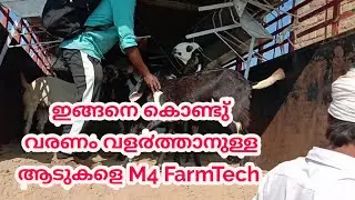 Beetal goat transportation arrangements/ഇങ്ങനെ കൊണ്ടു് വരണം വള൪ത്താനുള്ള ആടുകളെ ||M4 FarmTech