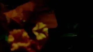 Giovanni Aloi &bull; Arctia caja [official video]
