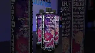 Healthy reefs run on biology - ask for MicroBacter Purple at the LFS or online retailer! #reeftank