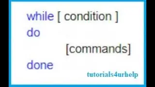 bash while loop tutorial