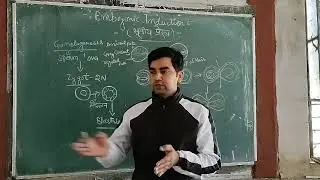 Embryonic induction