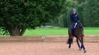 How to train trot transitions on a young horse | Collective Equestrian | Jonny Clarke-West