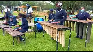 Dance Monkey, REGENT HILL INTERNATIONAL SCHOOL marimba band