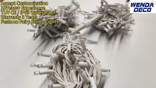 Festoon Fairy String Lights