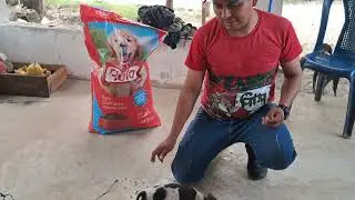 Vean que gran bendicion recibe doña lucy para sus perritas⁉️⁉️