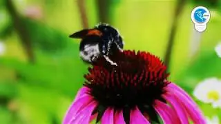 We Are The World by r2zone | chil chillout | deep house | lounge | Art Movie