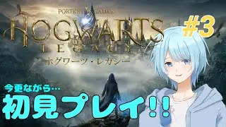 【ホグワーツレガシー】#3  密漁なんて信じらんないよね ※ネタバレ禁止