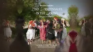 Djale i Dashtun - Orkestra Shkodra