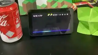 What happens if you tell Alexa to say a swear word??
