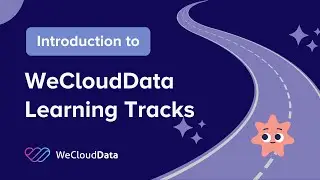 WeCloudData Learning Tracks