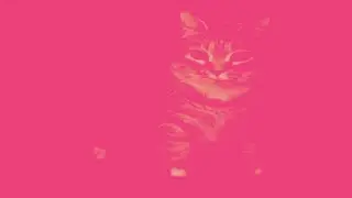 BOMBA - dbreezy.wav
